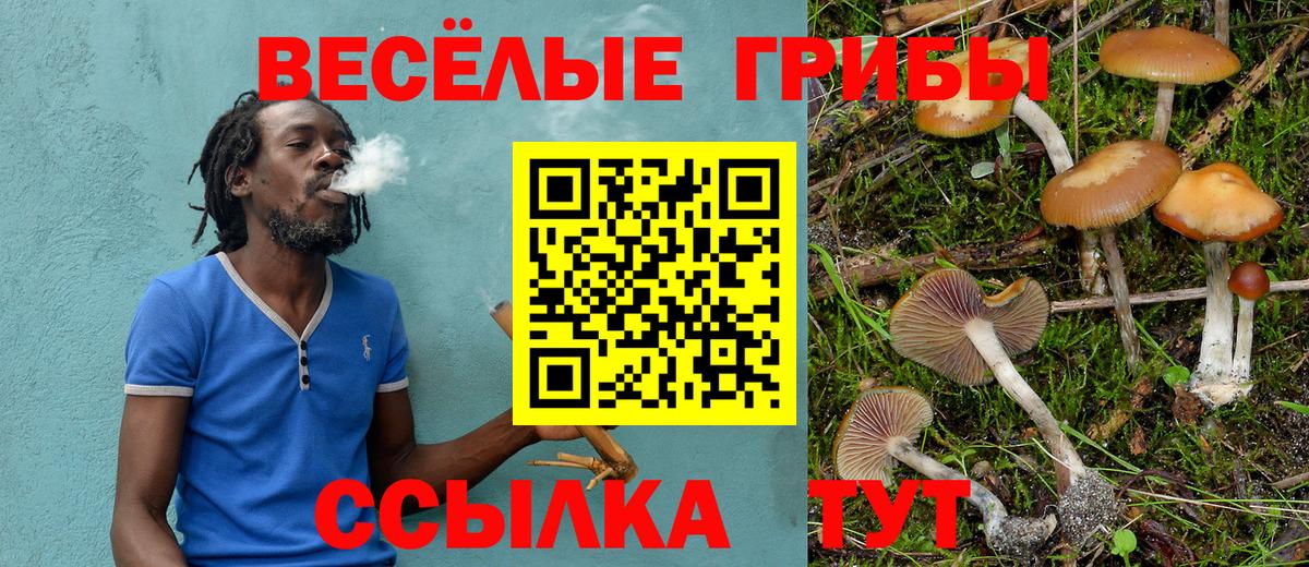 Псилоцибиновые грибы MAGIC MUSHROOMS  Вход с VPN  дарнет шоп  Электрогорск  Галлюциногенные грибы мицелий 